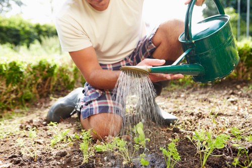 Website accessibility review for Tree Surgeons Chessington content structure