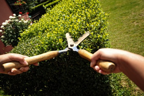 Support for accessibility requests on a local tree surgery website