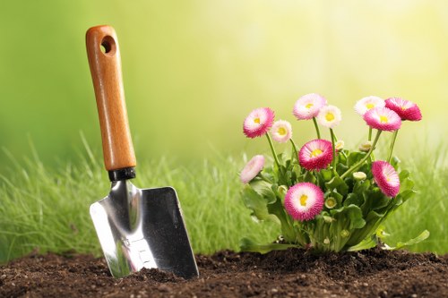 Keyboard navigation and accessible web design features for local tree surgeons